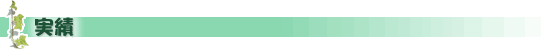 実績